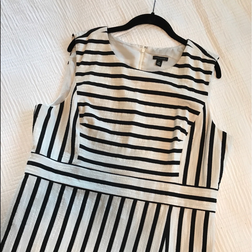 Anne Taylor Striped BW Dress